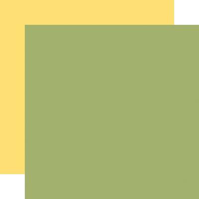 Echo Park Birthday Girl Cardstock - Green/Yellow